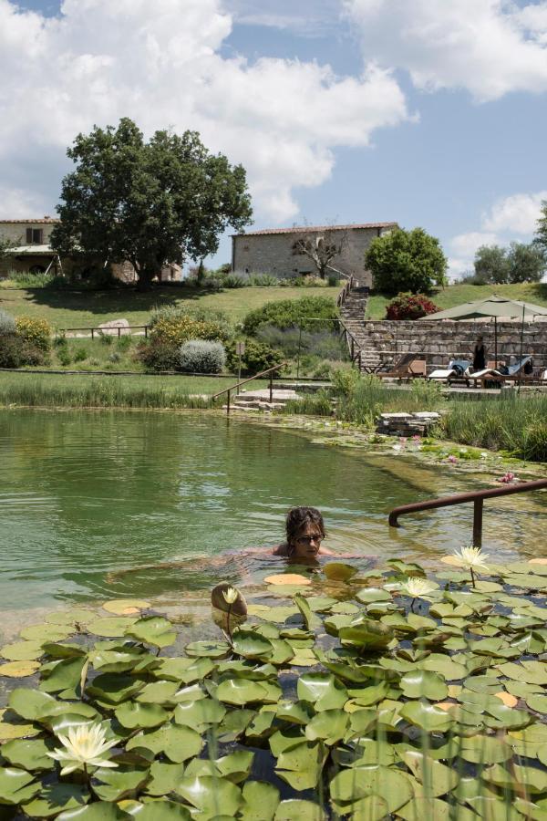 Sasseta Alta Alloggio per agriturismo Scansano